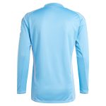aston villa adidas goalkeeper shirt 2024-25 – long sleeve – 201964005 Collection | Official Aston Villa Jerseys