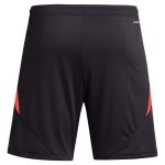 aston villa adidas goalkeeper shorts 2024-25 – 201964002 with custom printing Collection | Official Aston Villa Jerseys