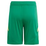 aston villa adidas goalkeeper shorts 2024-25 – 201964010 with custom printing Collection | Official Aston Villa Jerseys