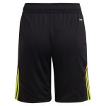aston villa adidas goalkeeper shorts 2024-25 – kids – 201964004 with custom printing Collection | Official Aston Villa Jerseys