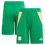 aston villa adidas goalkeeper shorts 2024-25 – kids – 201964012 with custom printing Collection | Official Aston Villa Jerseys