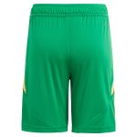 aston villa adidas goalkeeper shorts 2024-25 – kids – 201964012 with custom printing Collection | Official Aston Villa Jerseys