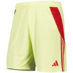 aston villa adidas goalkeeper shorts 2025-26 – kids Collection | Official Aston Villa Jerseys