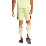 aston villa adidas goalkeeper shorts 2025-26 with custom printing Collection | Official Aston Villa Jerseys