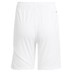 aston villa adidas home shorts 2024-25 with custom printing Collection | Official Aston Villa Jerseys